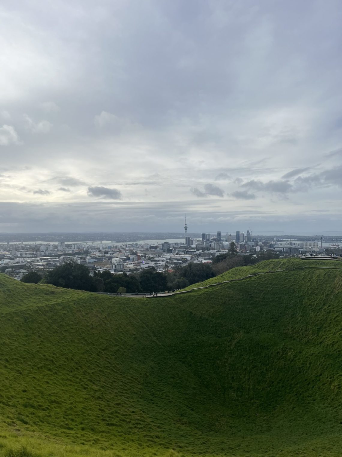 Ausblick vom Mount Eden